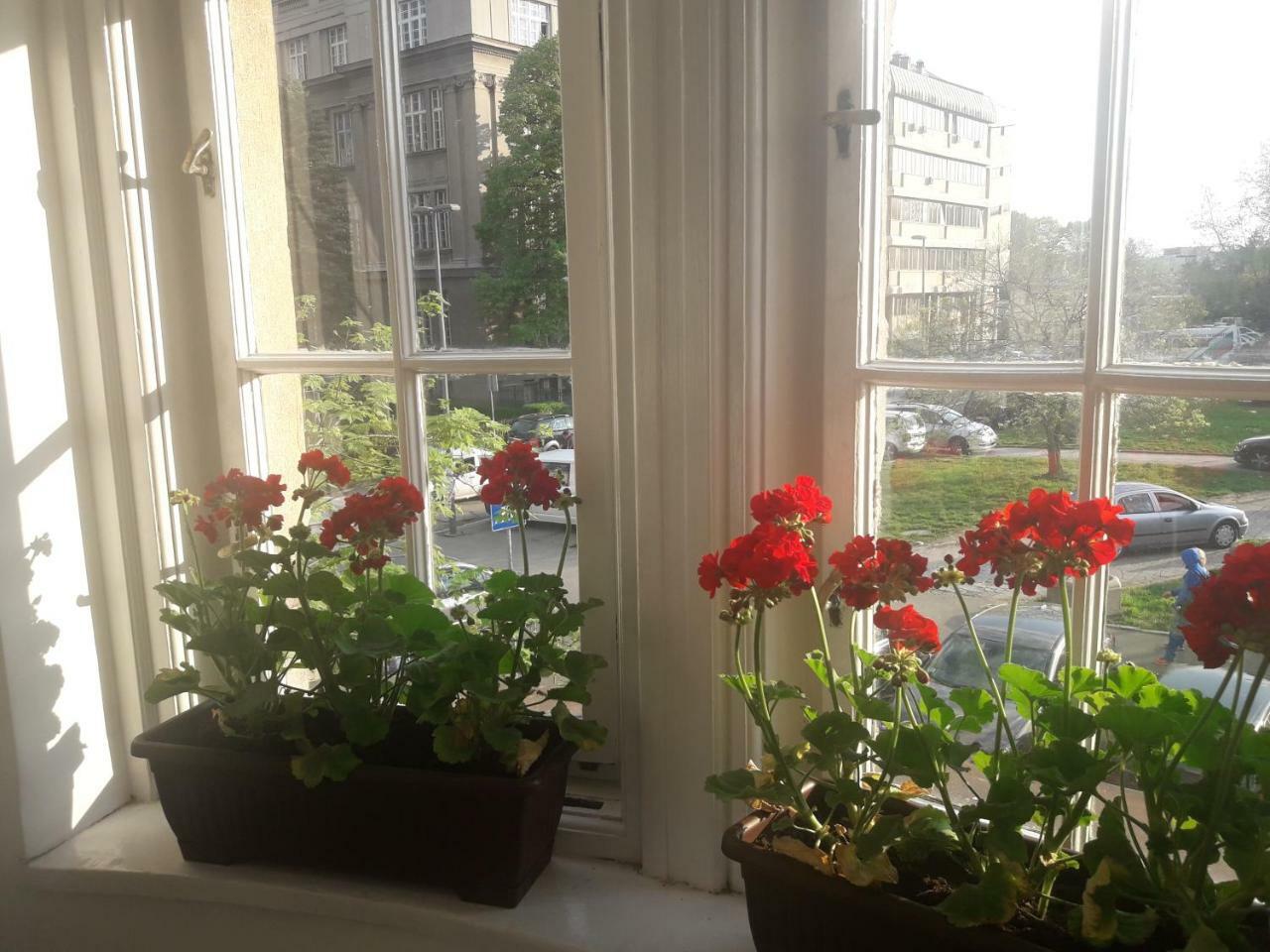 Apartment Hana Lux Belgrád Kültér fotó